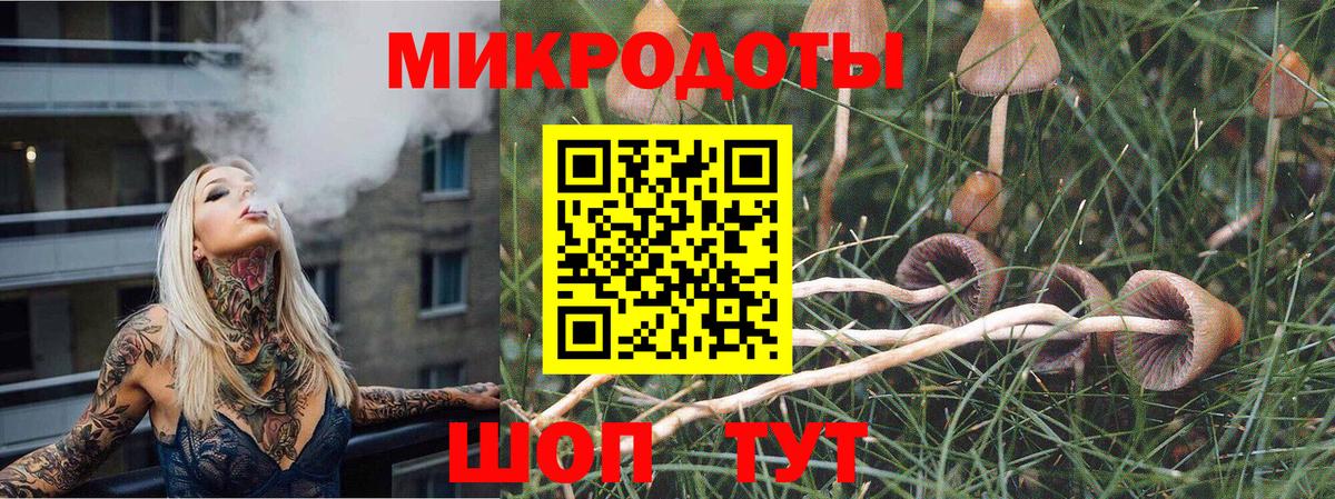 Галлюциногенные грибы GOLDEN TEACHER  Вход с VPN  Тутаев 