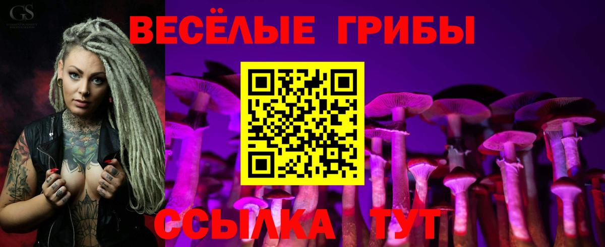 сколько стоит  Тутаев  Галлюциногенные грибы мицелий 