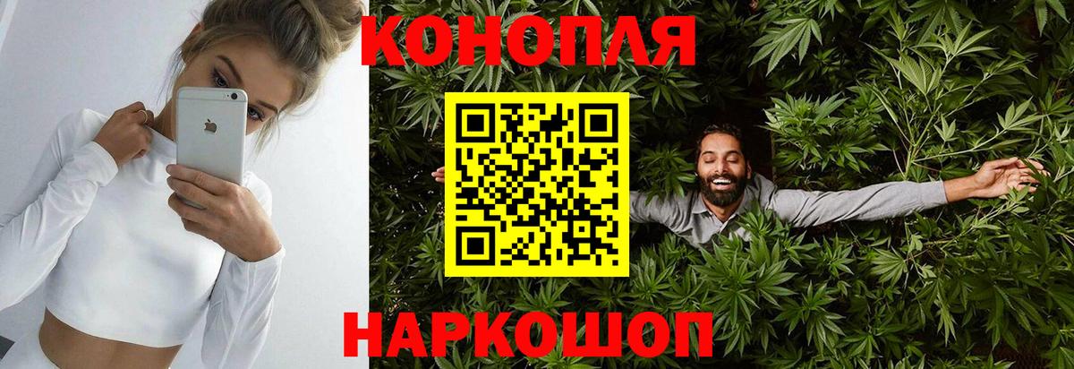 Шишки марихуана OG Kush Тутаев